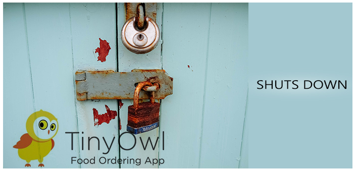 tinyowl