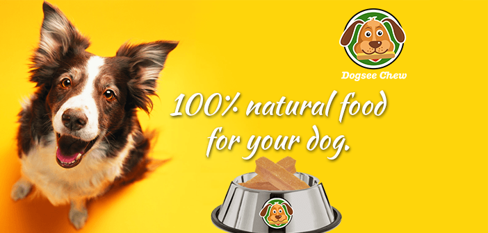 Bengaluru-based Dog Food Startup, Dogsee Chew, Takes To Angel Funding