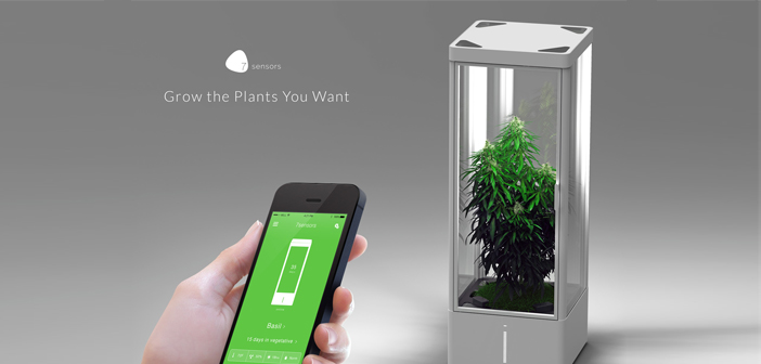 7sensors Back With Grow Box To Allow Plants Inside
