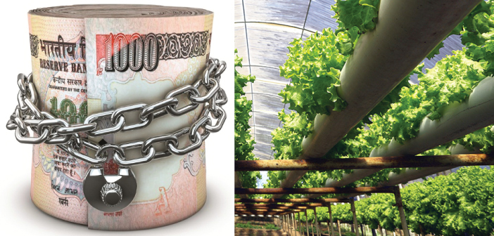 Why Demonetization Is A God Sent Opportunity For Agritech Startups?