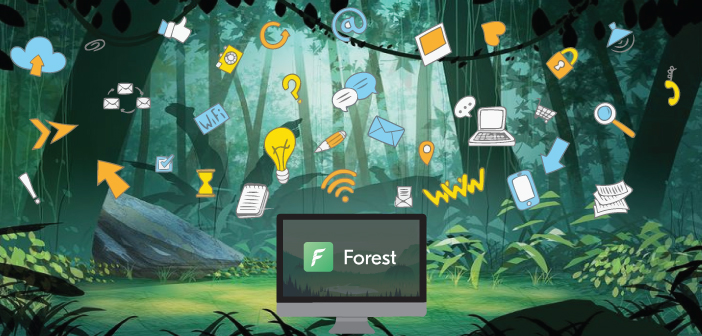 Forest - One Application Interface For All Activities