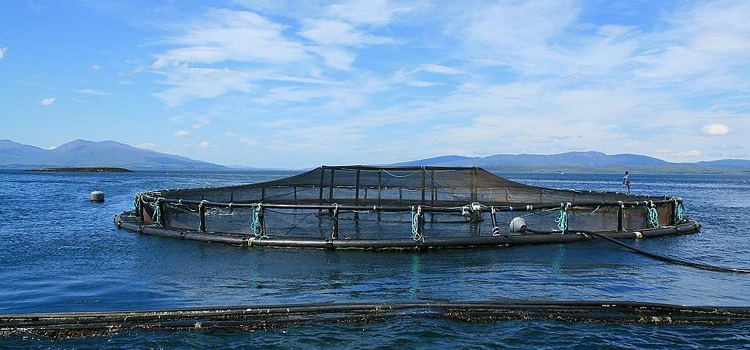 Sustainable Farming